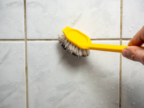 Best Residential Mold Remediation in Hanceville, AL