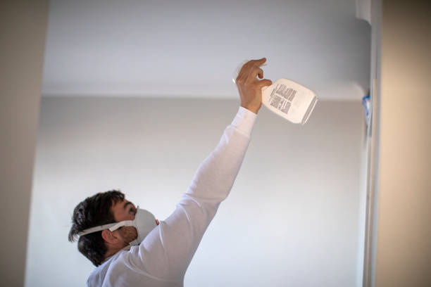 Best Post-Flood Mold Remediation in Hanceville, AL
